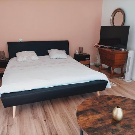 Chez Michele Et Jean Louis Apartment Pignans Екстериор снимка